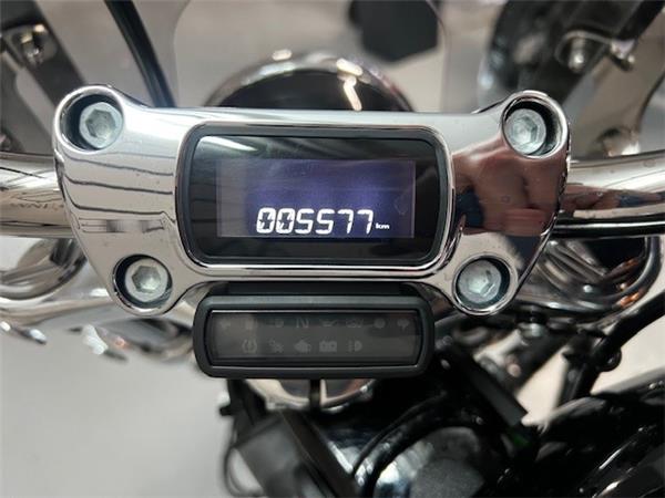 2023 HARLEY-DAVIDSON STANDARD