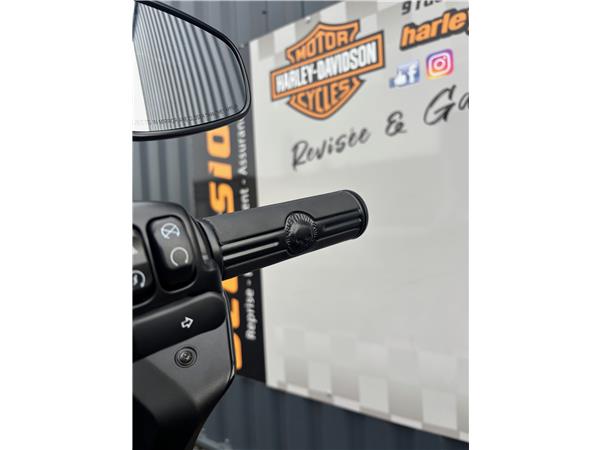 2023 HARLEY-DAVIDSON LOW RIDER