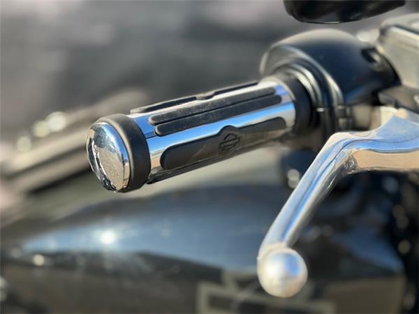 Harley-Davidson Softail