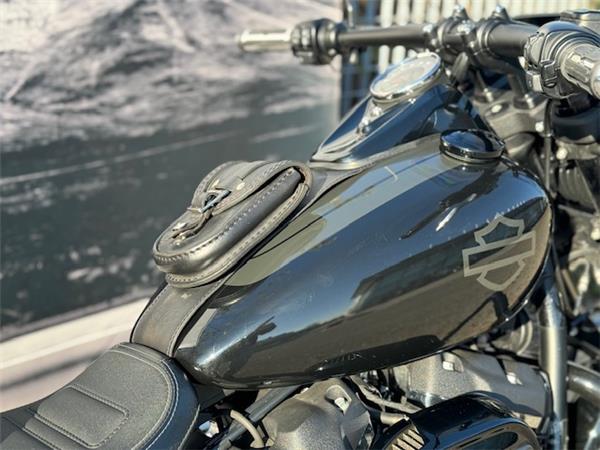 Harley-Davidson Softail