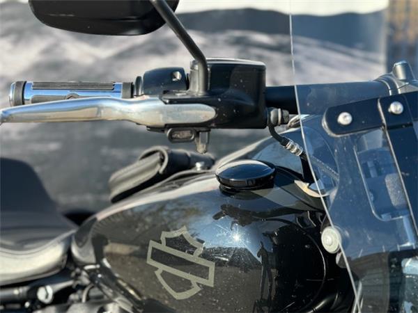 Harley-Davidson Softail