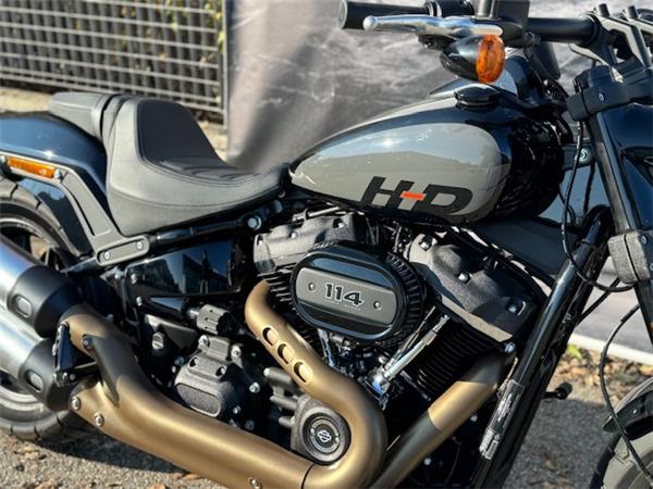 Harley-Davidson Softail-Cruiser