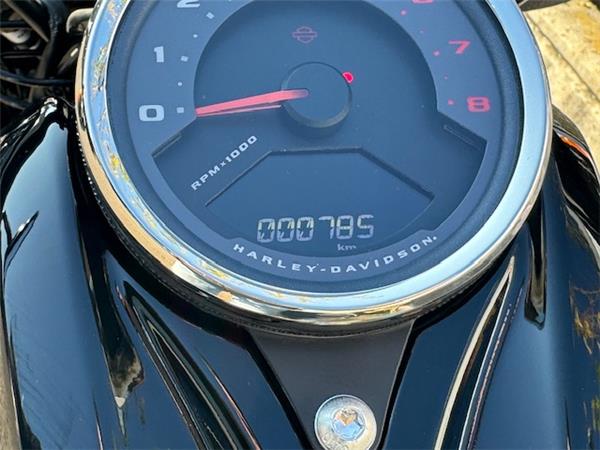 Harley-Davidson Softail-Cruiser