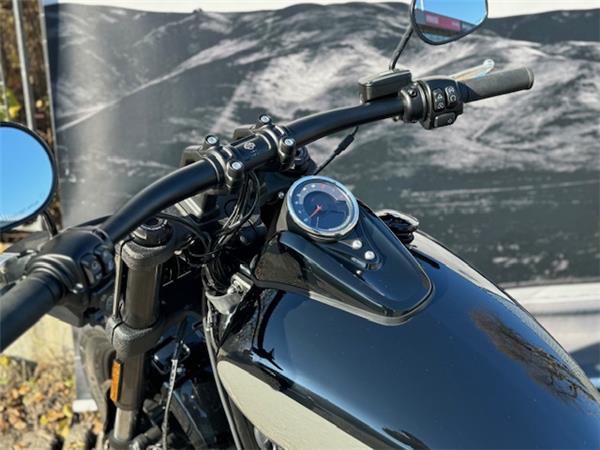 Harley-Davidson Softail-Cruiser