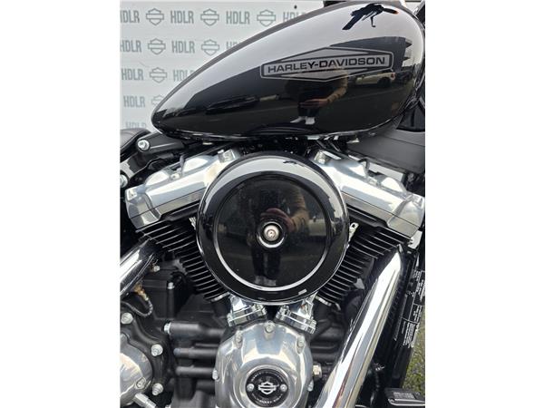 2021 HARLEY-DAVIDSON STANDARD