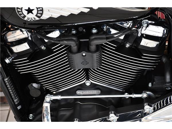 2025 HARLEY-DAVIDSON SOFTAIL FLSTF FAT BOY