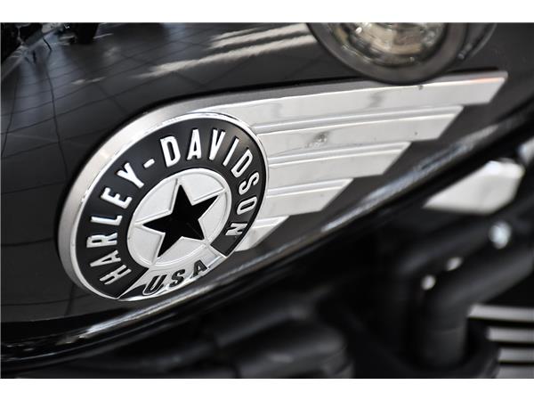 2025 HARLEY-DAVIDSON SOFTAIL FLSTF FAT BOY