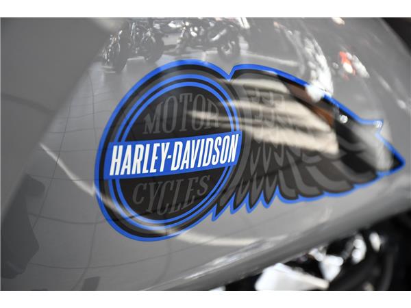 2025 HARLEY-DAVIDSON LOW RIDER ST