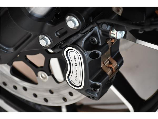 2025 HARLEY-DAVIDSON LOW RIDER ST