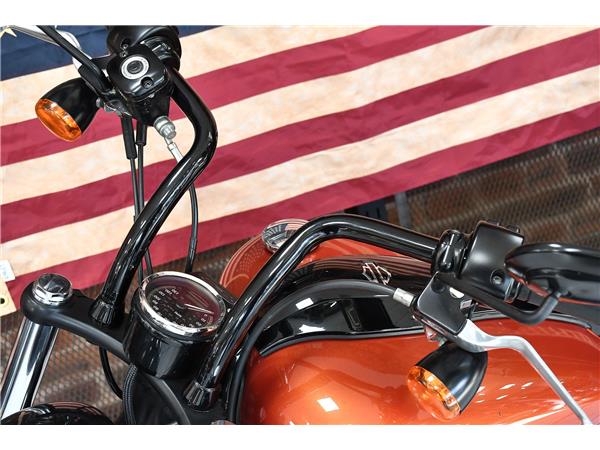 2013 HARLEY-DAVIDSON SOFTAIL FXS BLACKLINE