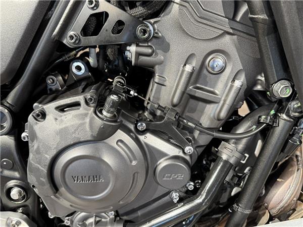 2025 YAMAHA TENERE 700 RALLY EDITION