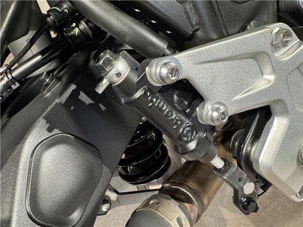 2025 YAMAHA TENERE 700 RALLY EDITION