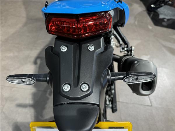 2025 YAMAHA TENERE 700 RALLY EDITION