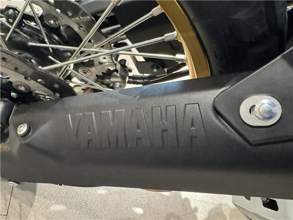 2025 YAMAHA TENERE 700 RALLY EDITION