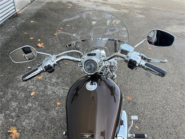 2013 Harley-Davidson Sportster XL 1200 C 110th Anniversary