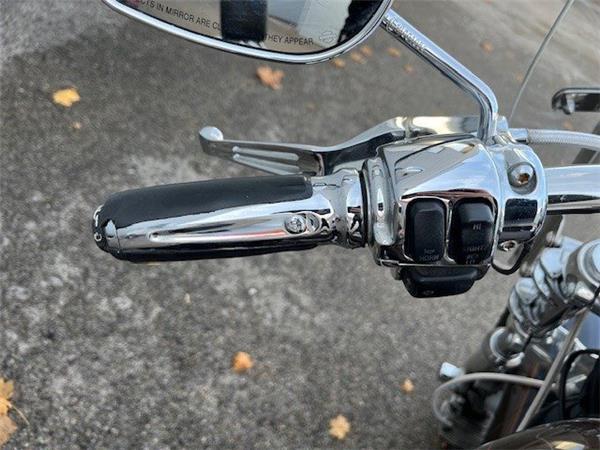 2013 Harley-Davidson Sportster XL 1200 C 110th Anniversary