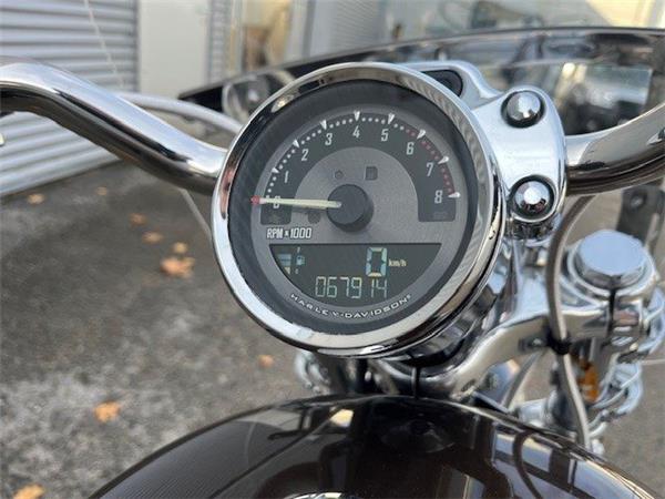 2013 Harley-Davidson Sportster XL 1200 C 110th Anniversary