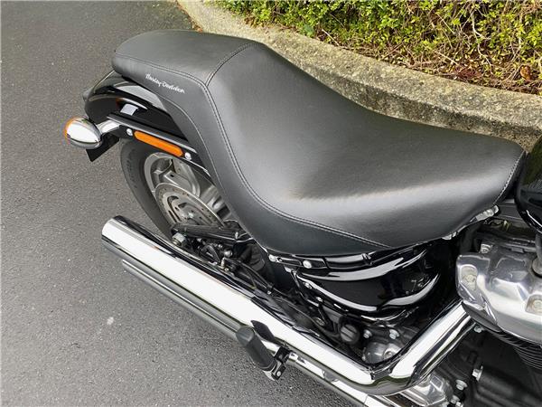 2022 HARLEY-DAVIDSON STANDARD