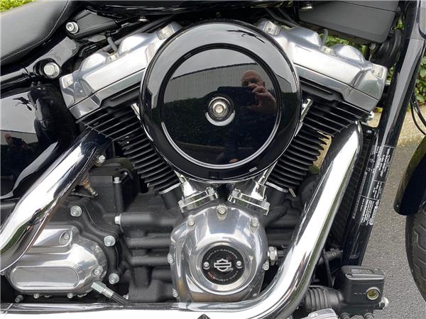 2022 HARLEY-DAVIDSON STANDARD