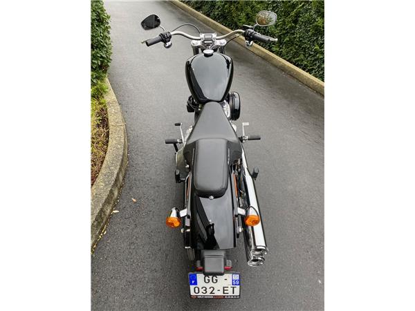 2022 HARLEY-DAVIDSON STANDARD