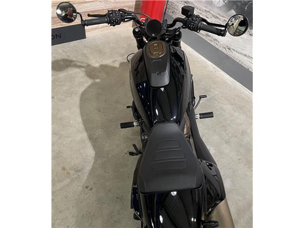 2022 HARLEY-DAVIDSON SPORTSTER 1250