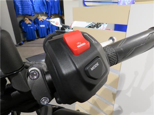 YAMAHA MT-09   Y-AMT