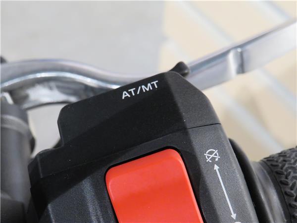 YAMAHA MT-09   Y-AMT