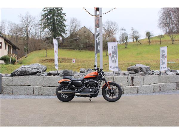 2020 harley-davidson XL 883 N Sportster Iron ABS