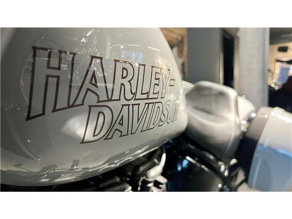 2025 harley-davidson FXLRST Low Rider ST 117