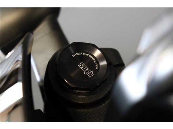 2023 HARLEY-DAVIDSON NIGHTSTER SPECIAL