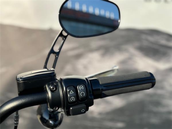 Harley-Davidson Softail