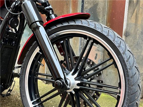 2020 Harley-Davidson Softail