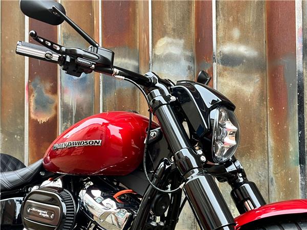 2020 Harley-Davidson Softail