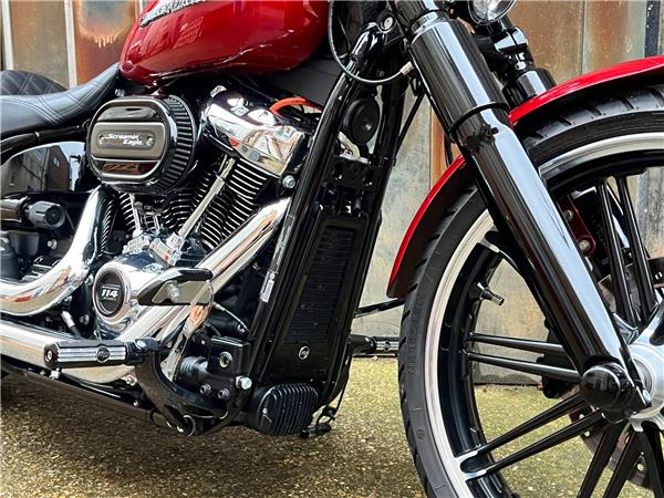 2020 Harley-Davidson Softail