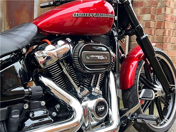 2020 Harley-Davidson Softail