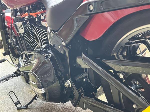 2020 Harley-Davidson Softail