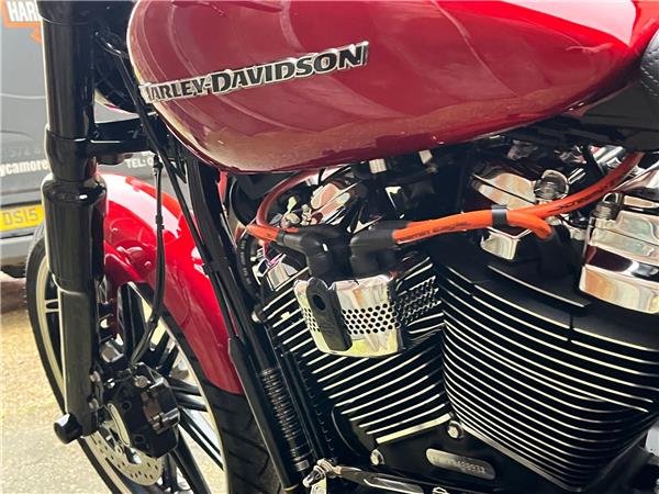 2020 Harley-Davidson Softail