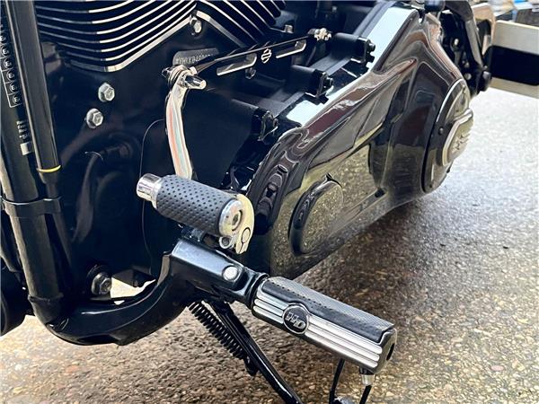 2020 Harley-Davidson Softail