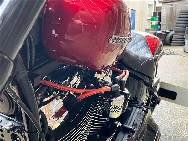 2020 Harley-Davidson Softail