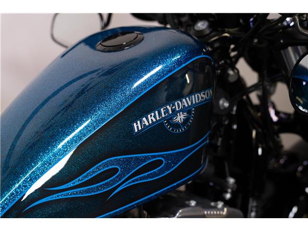 2016 harley-davidson XL 1200 X Forty Eight ABS