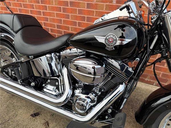 2015 Harley-Davidson Flstf 103 Fatboy 1690 15