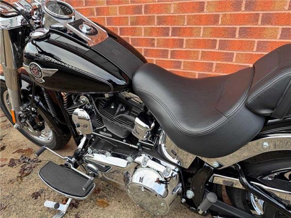 2015 Harley-Davidson Flstf 103 Fatboy 1690 15