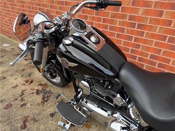 2015 Harley-Davidson Flstf 103 Fatboy 1690 15