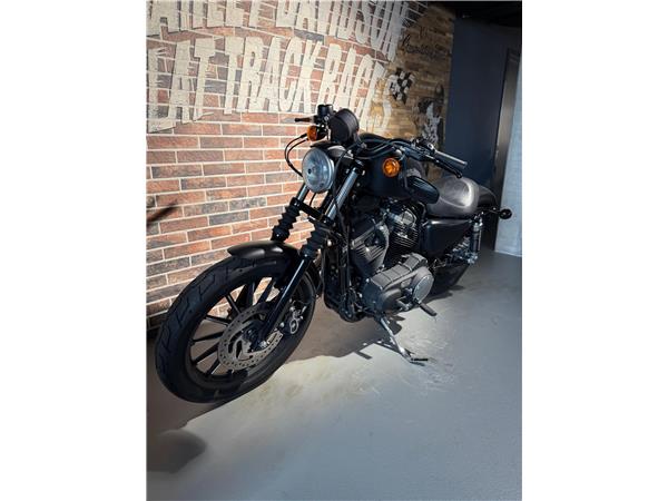 2014 harley-davidson XL 883 N Sportster Iron ABS