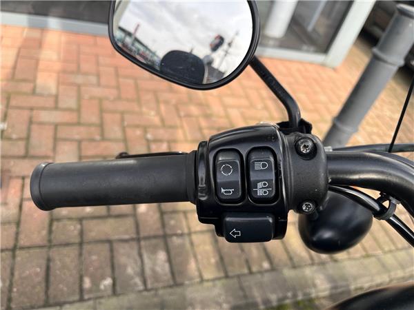 2019 HARLEY-DAVIDSON SPORTSTER 883