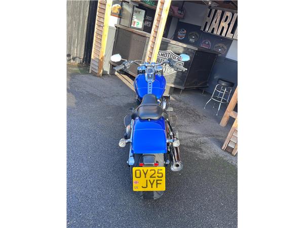 2025 Harley-Davidson Softail