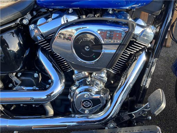 2025 Harley-Davidson Softail