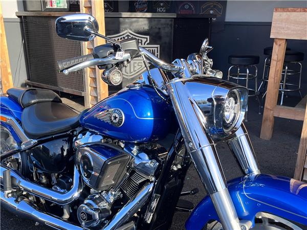 2025 Harley-Davidson Softail