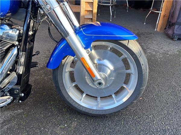 2025 Harley-Davidson Softail