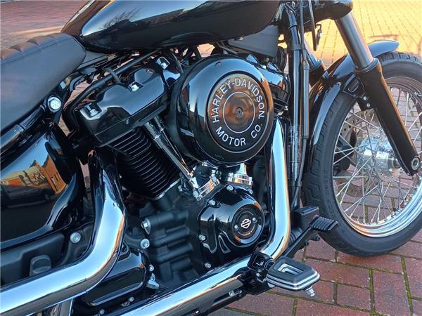 FXST Softail Standard 